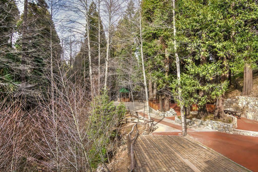 Arrowhead Tree Top Lodge Lake Arrowhead Eksteriør billede